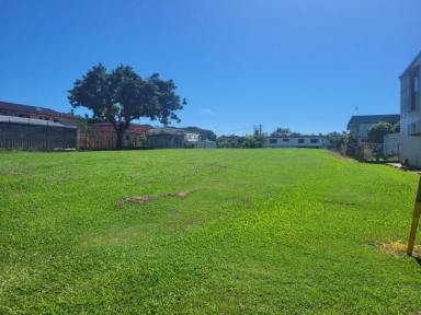 Residential Block For Sale - QLD - Ingham - 4850 - 1,619 SQ.M. (OVER 1/3 ACRE) BLOCK CLOSE TO CENTRE OF TOWN!  (Image 2)