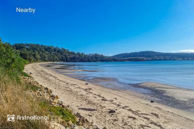 Residential Block For Sale - TAS - Great Bay - 7150 - Sunny North Facing Block, Minutes from The Beach!  (Image 2)