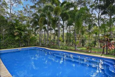 House Sold - QLD - Cashmere - 4500 - Your Very Own Family Oasis!  (Image 2)