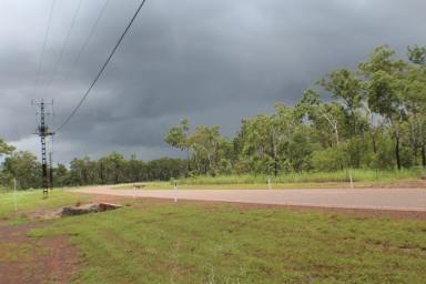 Residential Block For Sale - NT - Lloyd Creek - 0822 - Looking to start your rural lifestyle?  (Image 2)