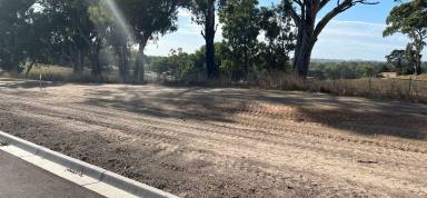 Residential Block For Sale - SA - Mount Barker - 5251 - IDEAL LARGE BLOCK OF 936M2 LAND -TITLED, READY TO BUILD YOUR DREAM HOME. GREAT LOCATION & LOVELY SAFE NEIGHBOURHOOD  (Image 2)