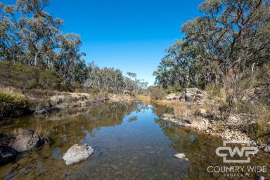 Lifestyle Sold - NSW - Wellingrove - 2370 - ULTIMATE LIFESTYLE BLOCK  (Image 2)