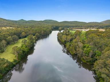 Other (Rural) Sold - NSW - Booral - 2425 - "PRIME RIVER FRONTAGE, HORSE AND CATTLE PROPERTY"  (Image 2)