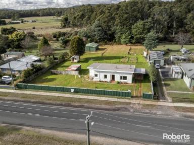 House Sold - TAS - Railton - 7305 - Rural charm on 4047m² with large shed  (Image 2)