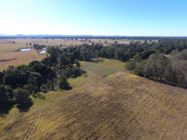 Mixed Farming For Sale - NSW - Leeville - 2470 - 107 ACRES - SHANNONBROOK CREEK FRONTAGE  (Image 2)