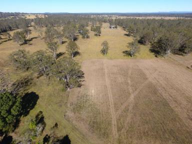 Mixed Farming For Sale - NSW - Leeville - 2470 - 107 ACRES - SHANNONBROOK CREEK FRONTAGE  (Image 2)