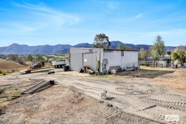 Residential Block For Sale - NSW - Bemboka - 2550 - VIEWS AND SHEDDING  (Image 2)