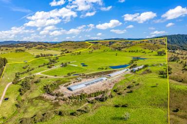 Commercial Farming For Sale - NSW - Gloucester - 2422 - Diverse Turnkey Agribusiness - Barrington Coast  (Image 2)