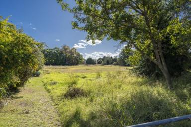 Residential Block For Sale - NSW - Grafton - 2460 - PRICE DROP - OWNER SAYS SELL  (Image 2)