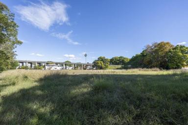 Residential Block For Sale - NSW - Grafton - 2460 - PRICE DROP - OWNER SAYS SELL  (Image 2)