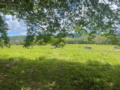 Acreage/Semi-rural Sold - QLD - Kuttabul - 4741 - THIS ONE HAS IT ALL...  (Image 2)