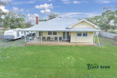 Lifestyle For Sale - VIC - Timmering - 3561 - THE COMPLETE COUNTRY LIFESTYLE ON APPROX. 20 ACRES  (Image 2)