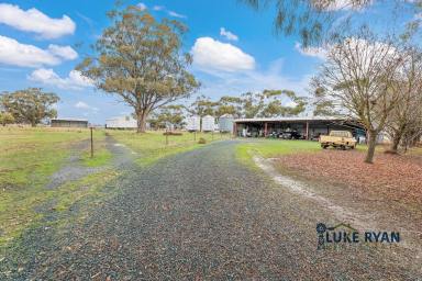 Lifestyle For Sale - VIC - Timmering - 3561 - THE COMPLETE COUNTRY LIFESTYLE ON APPROX. 20 ACRES  (Image 2)