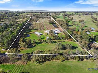 House Sold - SA - Mount Pleasant - 5235 - Exceptional country residence on 8 Ha. Architecturally designed home. Expansive shedding. Your income generating country residence awaits.  (Image 2)