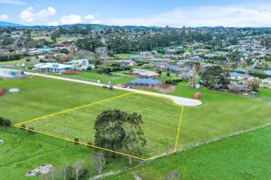Residential Block For Sale - VIC - Drouin - 3818 - Casual Country Living  (Image 2)