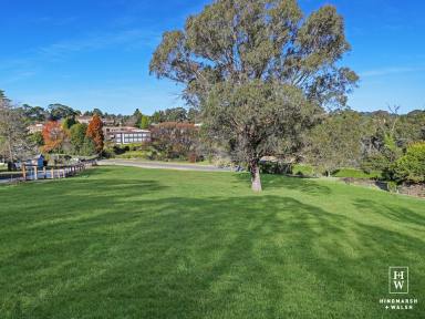 Residential Block For Sale - NSW - Moss Vale - 2577 - Residential Land - SPECIAL VENDOR OFFER AVAILABLE  (Image 2)