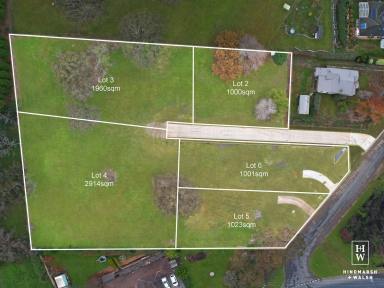Residential Block For Sale - NSW - Moss Vale - 2577 - Residential Land - SPECIAL VENDOR OFFER AVAILABLE  (Image 2)