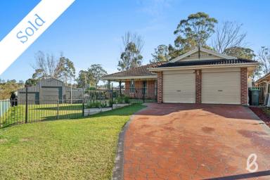 House Sold - NSW - Singleton - 2330 - The complete family package  (Image 2)