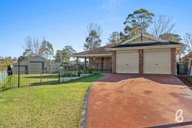 House Sold - NSW - Singleton - 2330 - The complete family package  (Image 2)