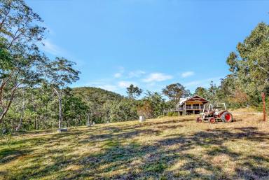 Lifestyle For Sale - NSW - Laguna - 2325 - Wilderness Heaven on 100 Private Acres  (Image 2)