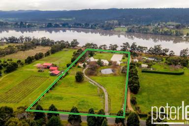 House Leased - TAS - Legana - 7277 - Another Property Leased And Expertly Managed By Peter Lees Real Estate  (Image 2)