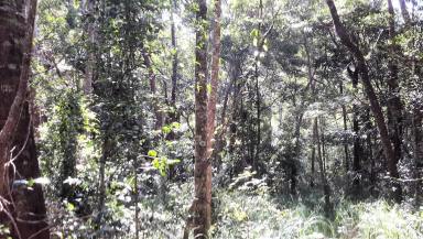Acreage/Semi-rural Sold - QLD - Ravenshoe - 4888 - Return to nature in this retreat  (Image 2)