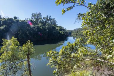Lifestyle Sold - NSW - Ramornie - 2460 - PRICE REDUCED - RIVERFRONT RURAL OASIS ON 80 HECTARES  (Image 2)