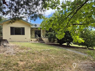 House For Sale - VIC - Foster - 3960 - DEVELOPMENT OPPORTUNITY OR SPACE AND OUTLOOK IN THE MIDDLE OF TOWN  (Image 2)