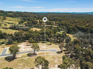 Residential Block For Sale - NSW - Rosedale - 2536 - Registered & Ready To Build  (Image 2)