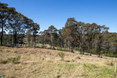 Residential Block For Sale - NSW - Rosedale - 2536 - Premium Cul-de-Sac Living in Rosedale  (Image 2)