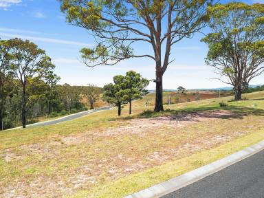 Residential Block For Sale - NSW - Rosedale - 2536 - Registered & Ready To Build  (Image 2)