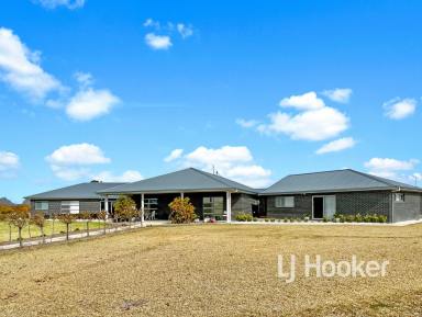 House For Sale - NSW - Inverell - 2360 - Prestige Living - No Expense Spared  (Image 2)