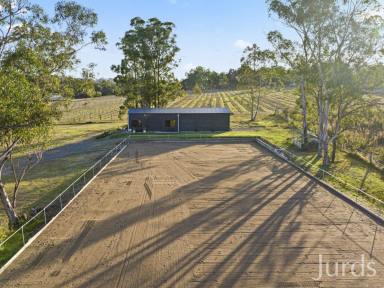 Lifestyle Sold - NSW - Lovedale - 2325 - IDYLLIC ACREAGE FOR THE EQUESTRIAN ENTHUSIAST  (Image 2)