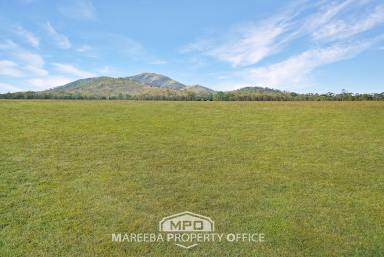 Cropping For Sale - QLD - Mutchilba - 4872 - PRIME LOCATION IN RURAL FARMING DISTRICT  (Image 2)