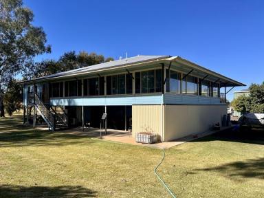 Acreage/Semi-rural For Sale - NSW - Moree - 2400 - RIVER VIEWS  (Image 2)