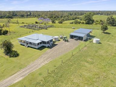 Cropping Sold - QLD - Bucca - 4670 - Macadamia & grazing property, the perfect investment opportunity in the Bundaberg Region  (Image 2)
