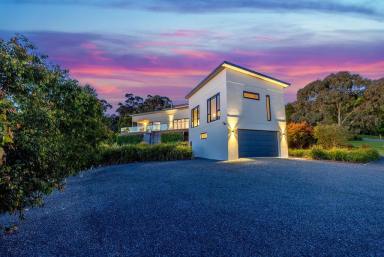 House Sold - VIC - Invermay - 3352 - LUXURIOUS FAMILY HOME ON ACREAGE  (Image 2)