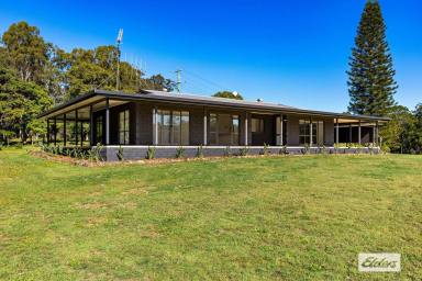 Acreage/Semi-rural Sold - QLD - Goomboorian - 4570 - Design Your Dream Lifestyle on this Boundless Canvas of Possibilities  (Image 2)
