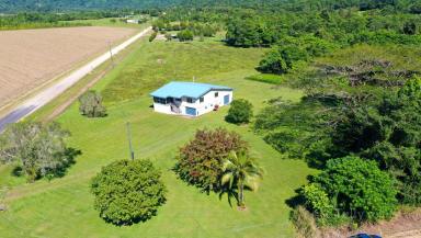 House Sold - QLD - Shell Pocket - 4855 - Rural Lifestyle Opportunity $550K  (Image 2)