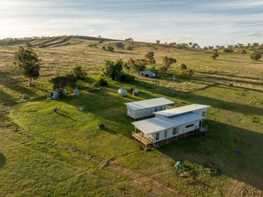 Mixed Farming Sold - NSW - Wagga Wagga - 2650 - Productive Grazing & Tremendous Rural Lifestyle  (Image 2)