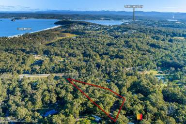 Residential Block For Sale - NSW - Long Beach - 2536 - SECLUDED BUT ACCESSIBLE ACREAGE  (Image 2)