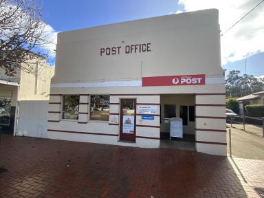 House For Sale - NSW - Darlington Point - 2706 - BUSINESS OPPORTUNITY PLUS PROPERTY  (Image 2)