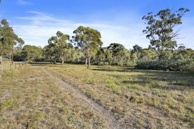 Residential Block Sold - TAS - Dodges Ferry - 7173 - Your own piece of paradise  (Image 2)