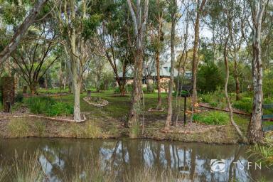 House Sold - VIC - Shelbourne - 3515 - A Scenic Private Paradise On 23 Stunning Acres  (Image 2)
