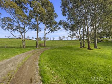Acreage/Semi-rural For Sale - VIC - Leongatha North - 3953 - Home, hills and happiness, right here!  (Image 2)