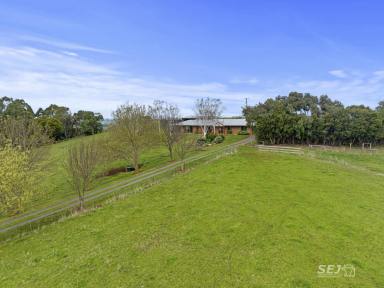 Acreage/Semi-rural For Sale - VIC - Leongatha North - 3953 - Home, hills and happiness, right here!  (Image 2)