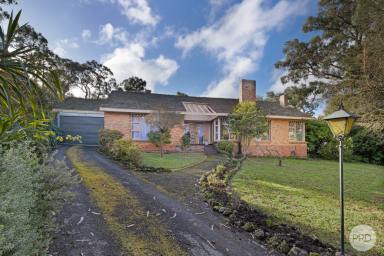 House Sold - VIC - Mount Helen - 3350 - Tranquil Family Home With Unlimited Potential  (Image 2)