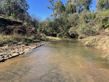 Acreage/Semi-rural For Sale - NSW - Rock Valley - 2480 - Grazing Property - 340 Acres  (Image 2)