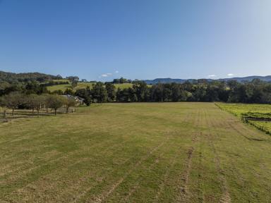 Other (Rural) Sold - NSW - Tullimbar - 2527 - Amazing Development Opportunity  (Image 2)