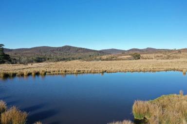 Other (Rural) For Sale - NSW - Braidwood - 2622 - Silver Top Hill  (Image 2)
